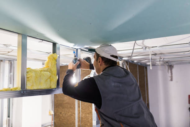 Best Home Insulation Services  in Kensington, CT