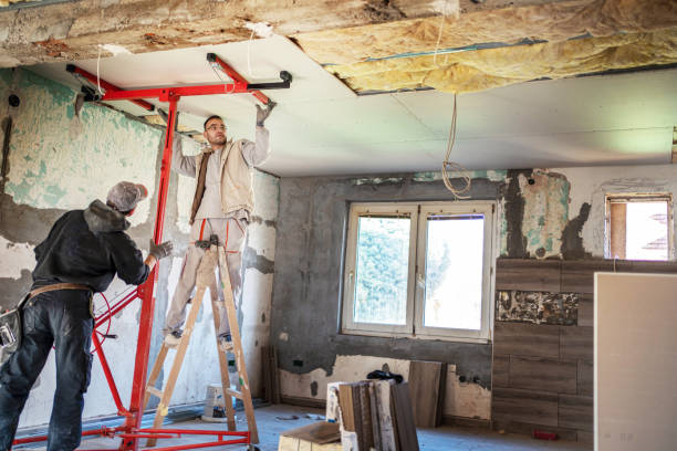 Best Insulation Removal  in Kensington, CT